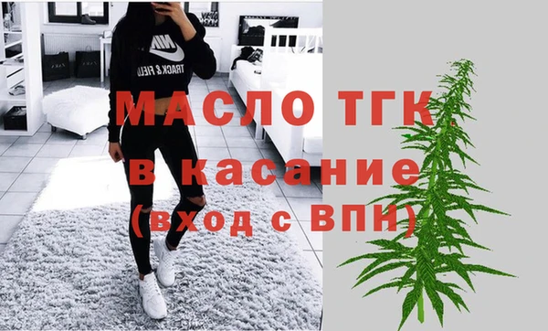 мет Алексин