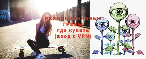 мет Алексин