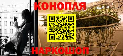 альфа пвп Заводоуковск
