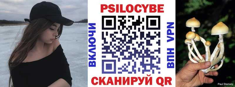 наркошоп  Нефтекумск  Галлюциногенные грибы Psilocybine cubensis 