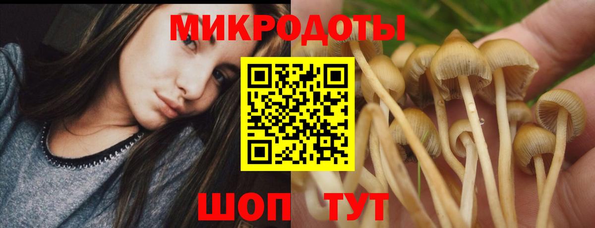 Псилоцибиновые грибы MAGIC MUSHROOMS Нефтекумск